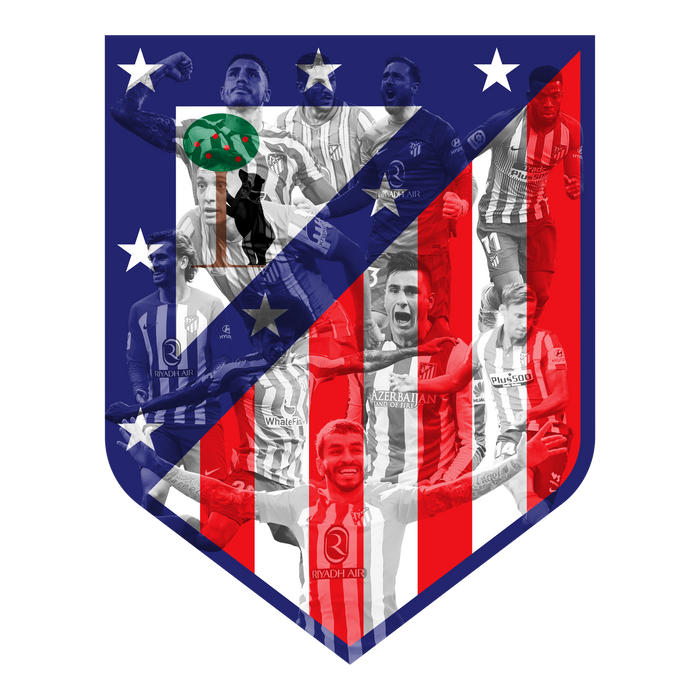 Dřevěný obraz na zeď Atlético Madrid