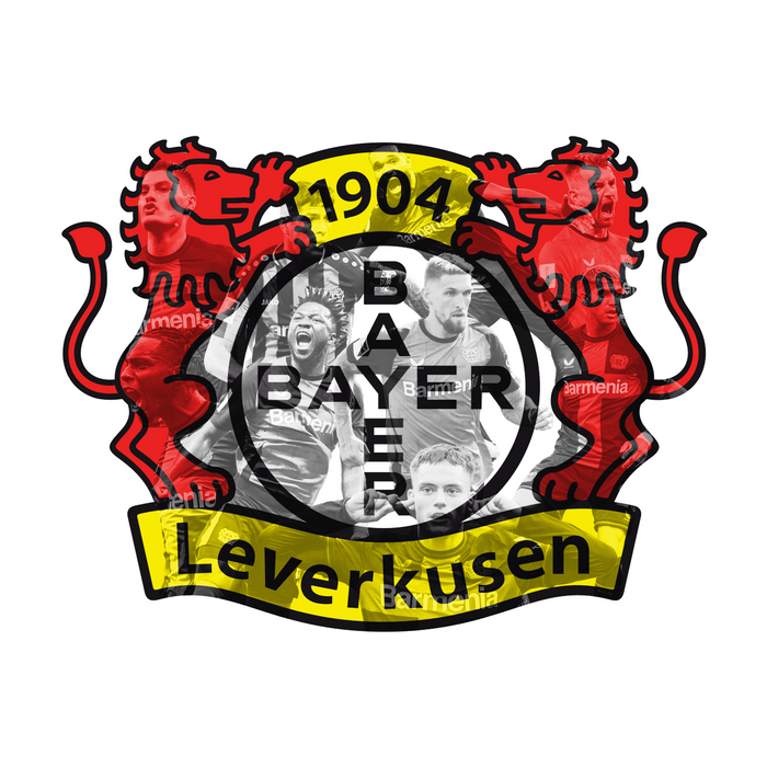 Dřevěný barevný obraz  Bayer 04 Leverkusen