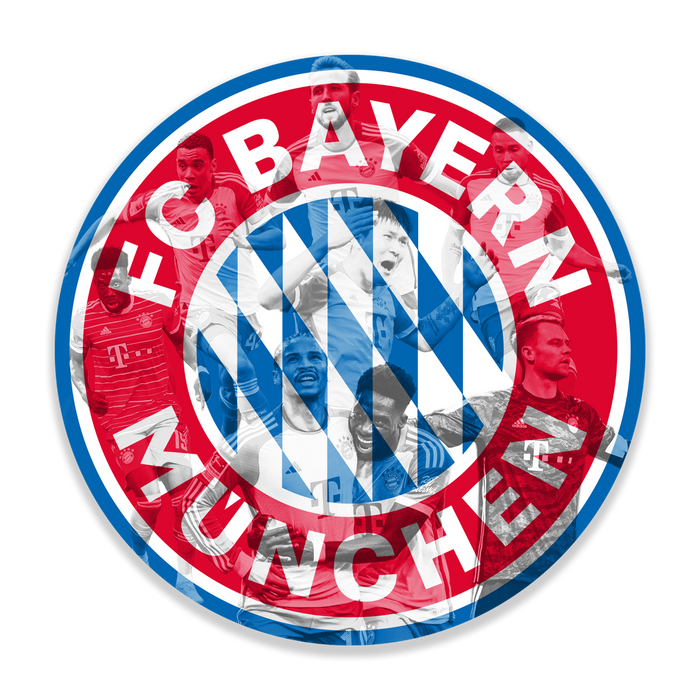 Dřevěný barevný obraz  HDF Bayernu Mnichov